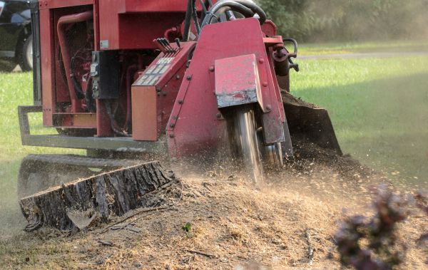 Kansas City Tree Removal