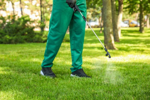 Kansas City Lawn Treatment
